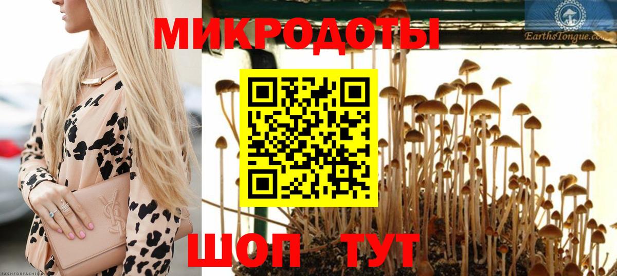 Галлюциногенные грибы прущие грибы Зеленокумск